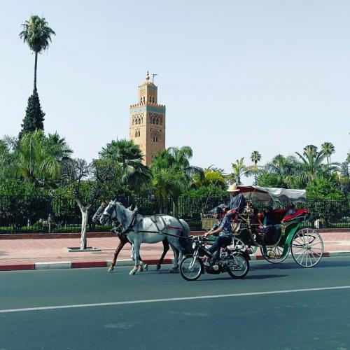 marrakech13